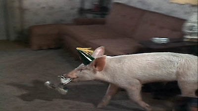 Green Acres Season 3 Episode 11