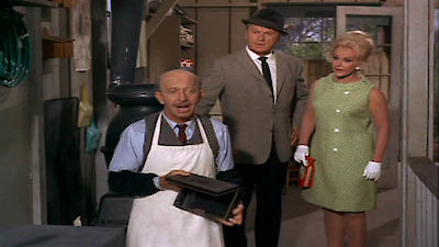 Green Acres Season 3 Episode 17