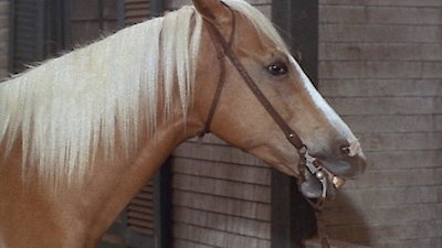 Green Acres Season 4 Episode 13