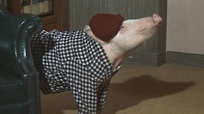 Green Acres Season 5 Episode 3