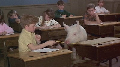 Green Acres Season 5 Episode 20