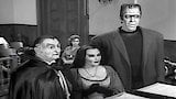 John Doe Munster