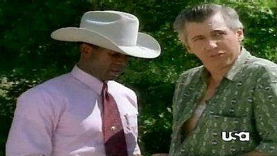 Walker, Texas Ranger Season 2 Episode 3