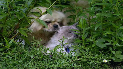 The Osbournes Season 2 Episode 7