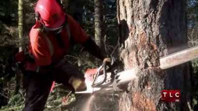 Heli-Loggers Season 1 Episode 10