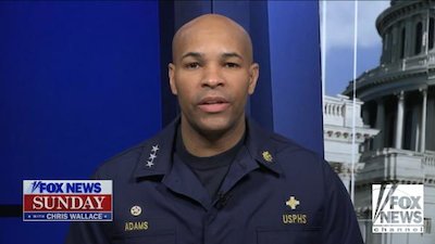 Fox News Sunday with Chris Wallace Season 2020 Episode 14