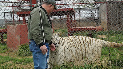 Animal ER Season 2 Episode 1