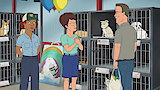 Care of the Dog