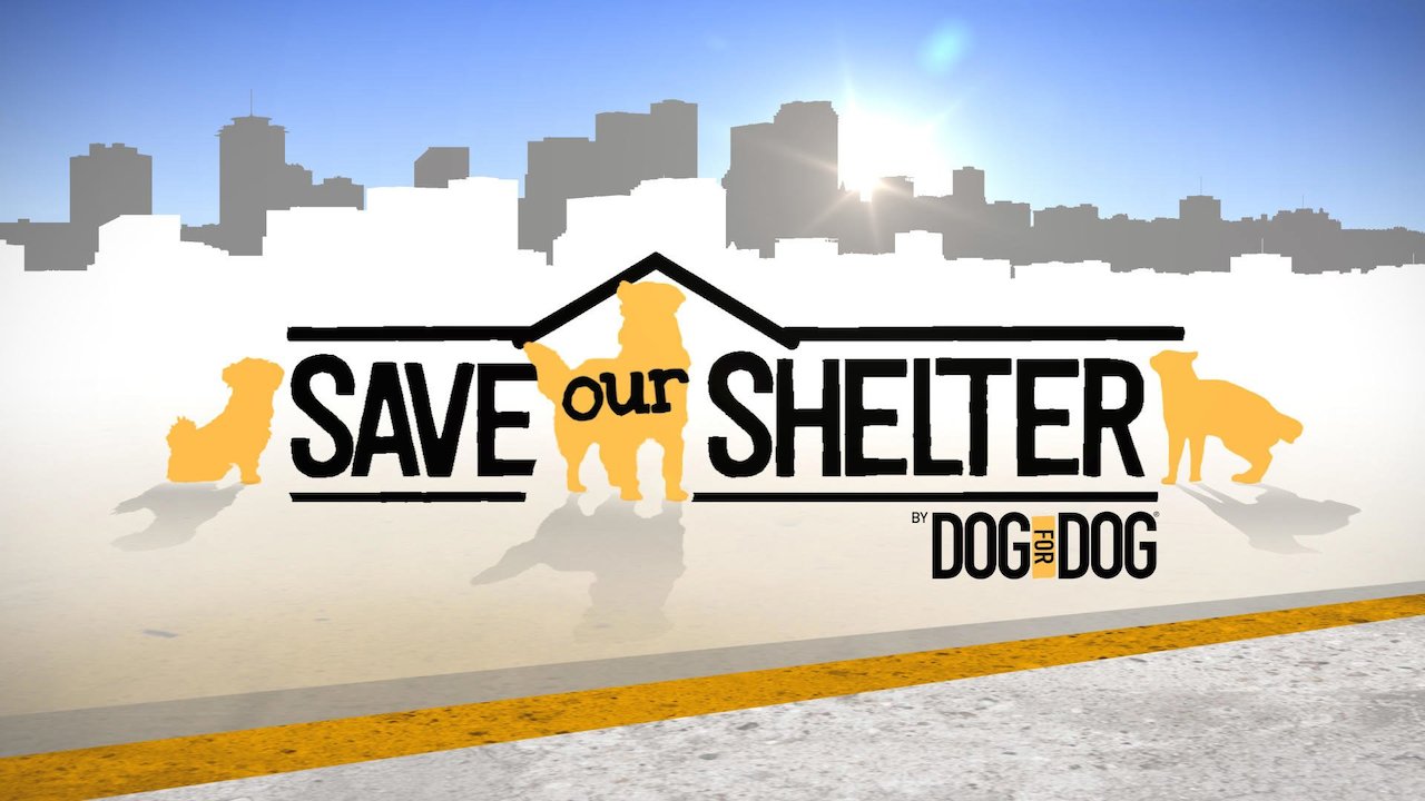 Save Our Shelter