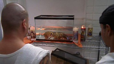 Kitchen Confidential Season 1 Episode 13