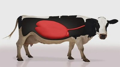 Evolve Season 1 Episode 2