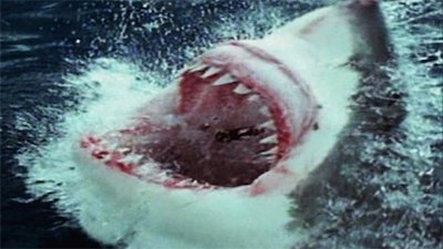 Evolve Season 1 Episode 3