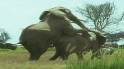 Evolve Season 1 Episode 4