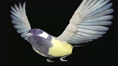 Evolve Season 1 Episode 6