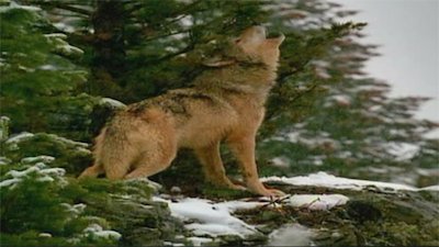 Evolve Season 1 Episode 7