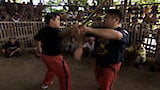 Eskrima Stickfighting