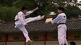 Taekwondo