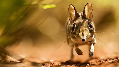 LIFE: Discovery Channel Season 1 Episode 3