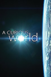 A Curious World