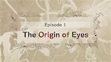 The Origin Of Eyes