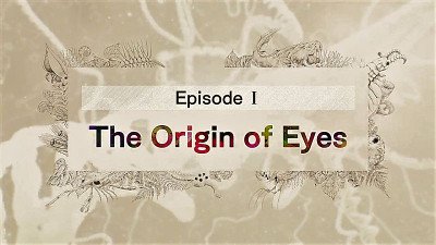 Leaps In Evolution Season 1 Episode 1