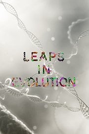 Leaps In Evolution