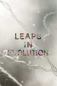 Leaps In Evolution