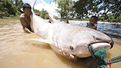 Secret Life of Lakes Season 1 Episode 3