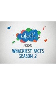 Whackiest Facts