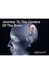 Journey To The Centers Of The Brain