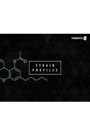 PR&Atilde;&tilde;HBTD Strain Profiles