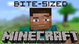 What's Minecraft