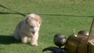 Brum Season 1 Episode 6