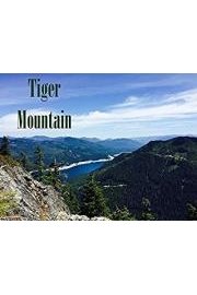 SeattleBalconySeries