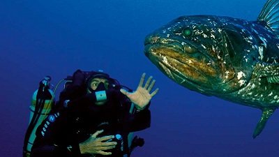 National Geographic Documentaries Season 2012 Episode 47