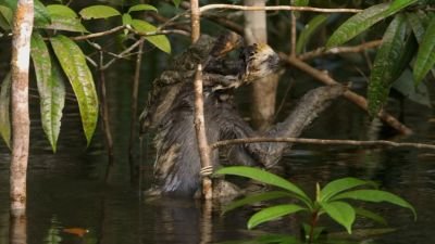 National Geographic Documentaries Season 2016 Episode 18