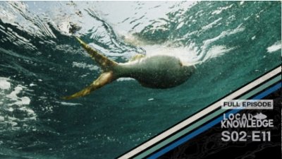 Local Knowledge Season 2 Episode 10