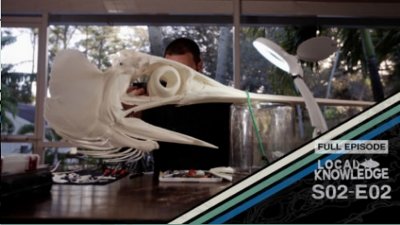 Local Knowledge Season 2 Episode 1