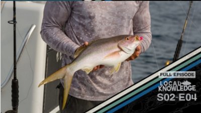 Local Knowledge Season 2 Episode 3