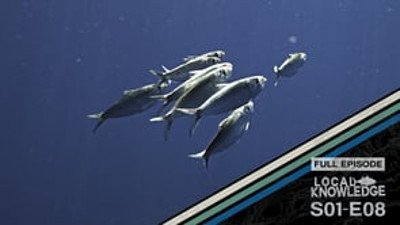 Local Knowledge Season 1 Episode 8