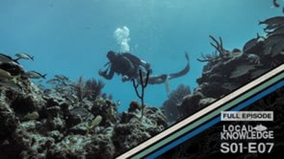 Local Knowledge Season 1 Episode 7