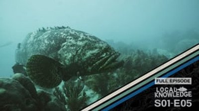 Local Knowledge Season 1 Episode 5