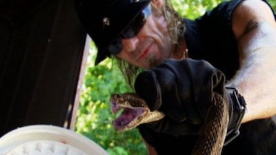 Billy the Exterminator Season 5 Episode 1