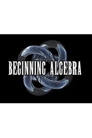 Algebra I (Beginning Algebra)