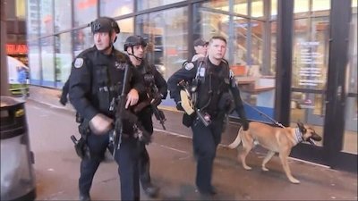 ABC World News Season 8 Episode 298
