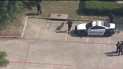 ABC World News Season 9 Episode 82