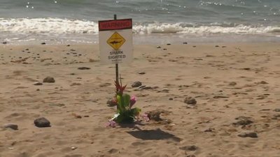 ABC World News Season 10 Episode 144