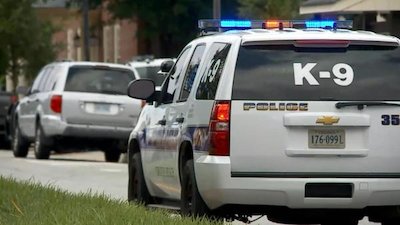 ABC World News Season 10 Episode 151