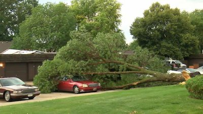 ABC World News Season 10 Episode 217