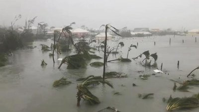 ABC World News Season 10 Episode 242